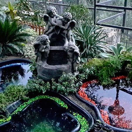 Villa Angel Rapallo Kültér fotó